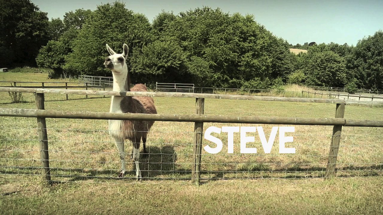 Steve the Llama standing in a field, with his name on screen in the Disney XD film